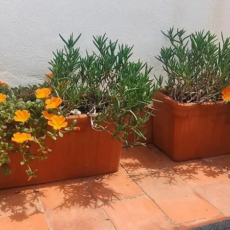 La Vista Bonita - La Mata, Torrevieja Apartamento La Mata (Torrevieja)